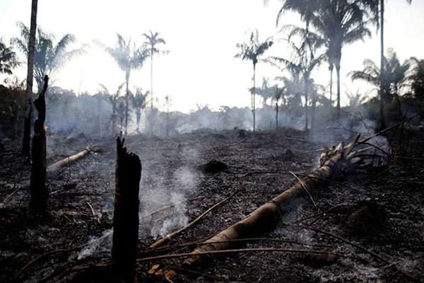 Đám cháy tại rừng Amazon đã lan kỷ lục
